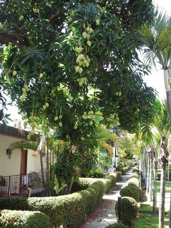 El Colibri Hotel Sosúa Esterno foto